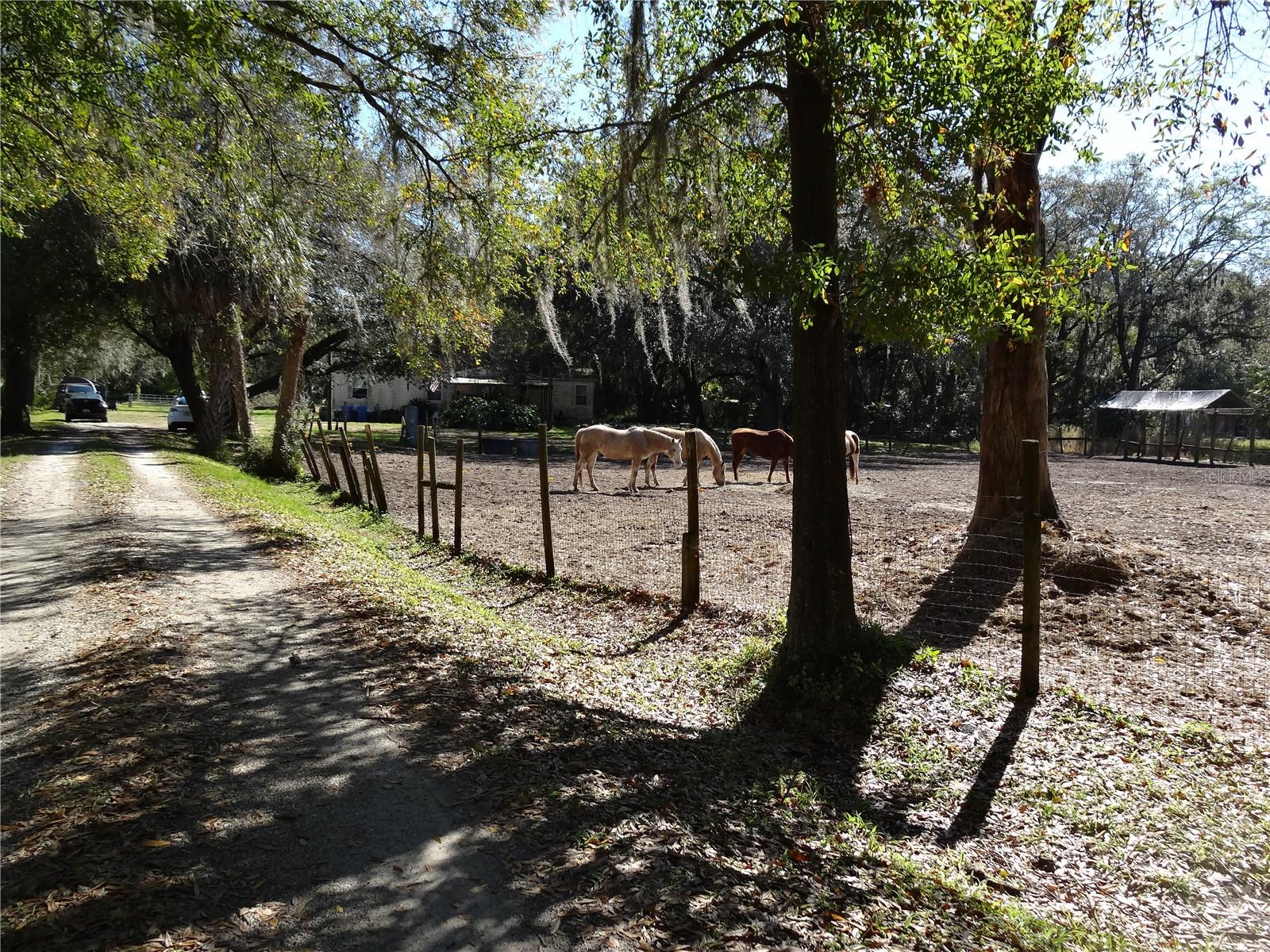 5614 WATSON, RIVERVIEW, FL, 33578