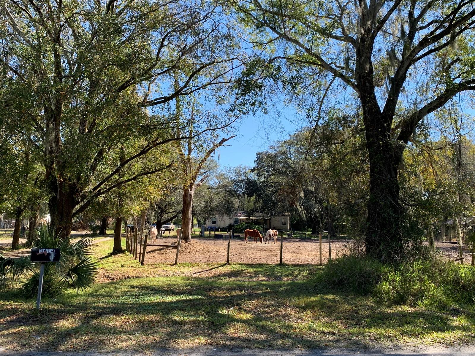 5614 WATSON, RIVERVIEW, FL, 33578