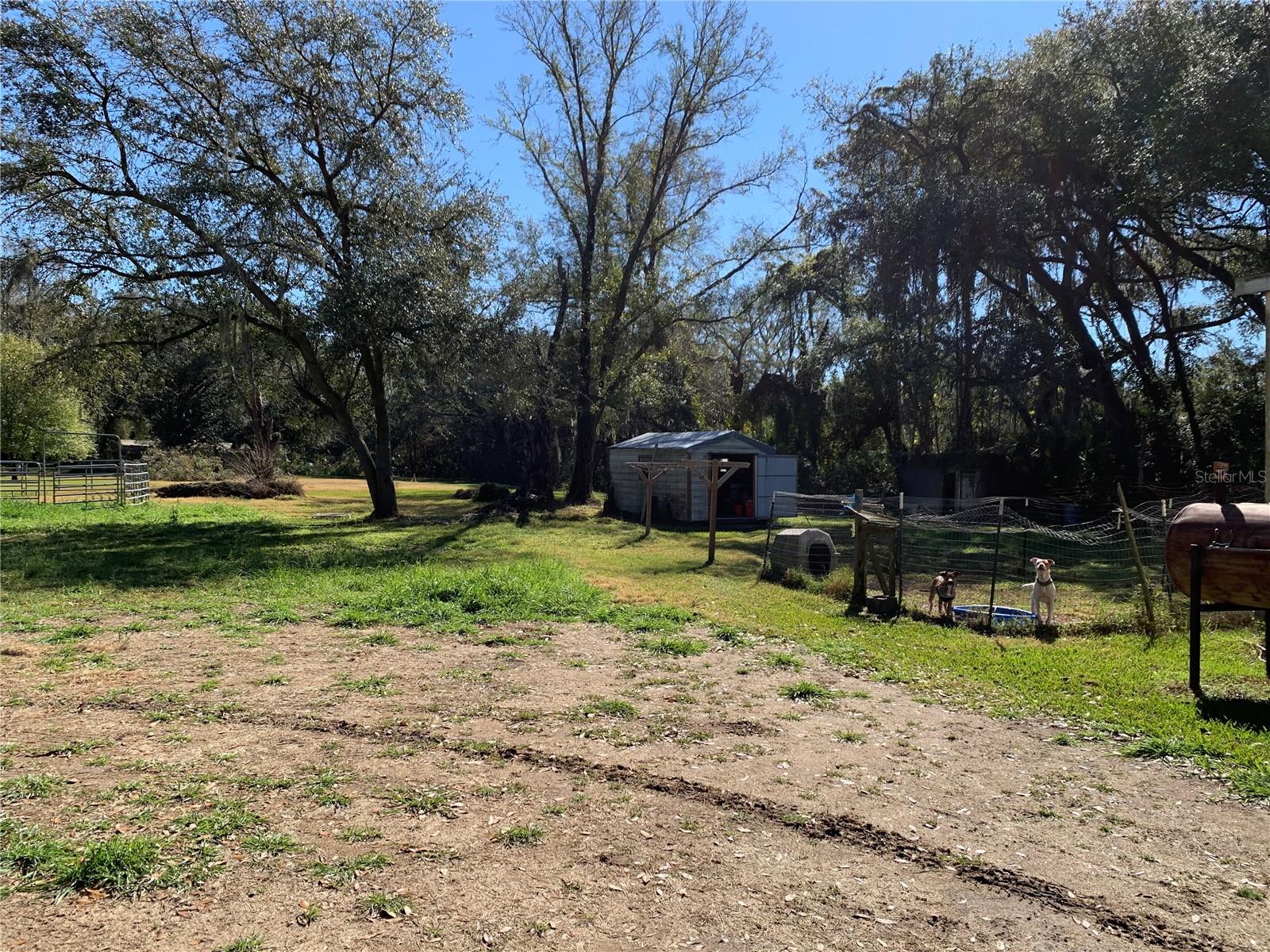 5614 WATSON, RIVERVIEW, FL, 33578