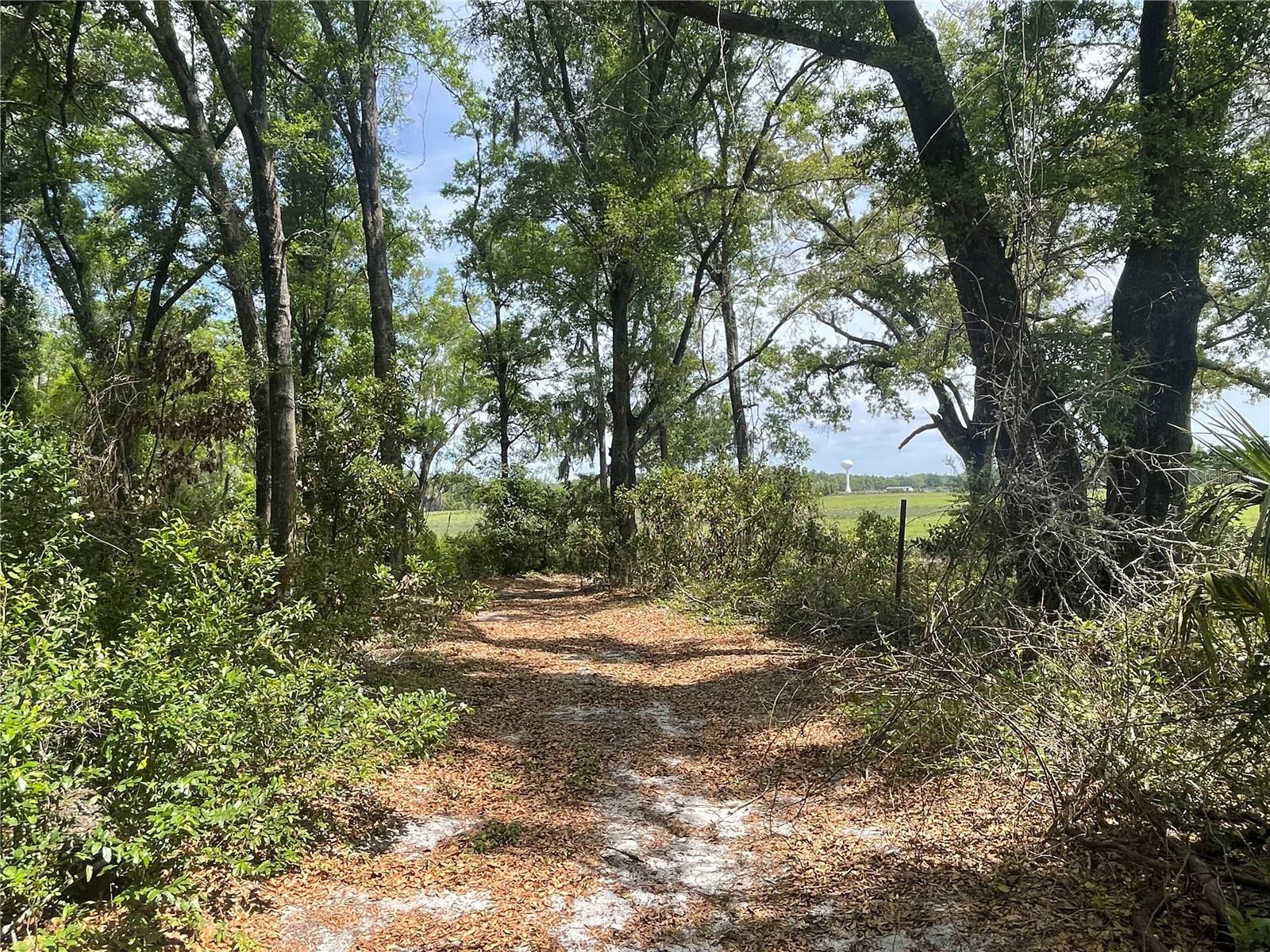 7157 NW 120TH ST, CHIEFLAND, FL, 32626