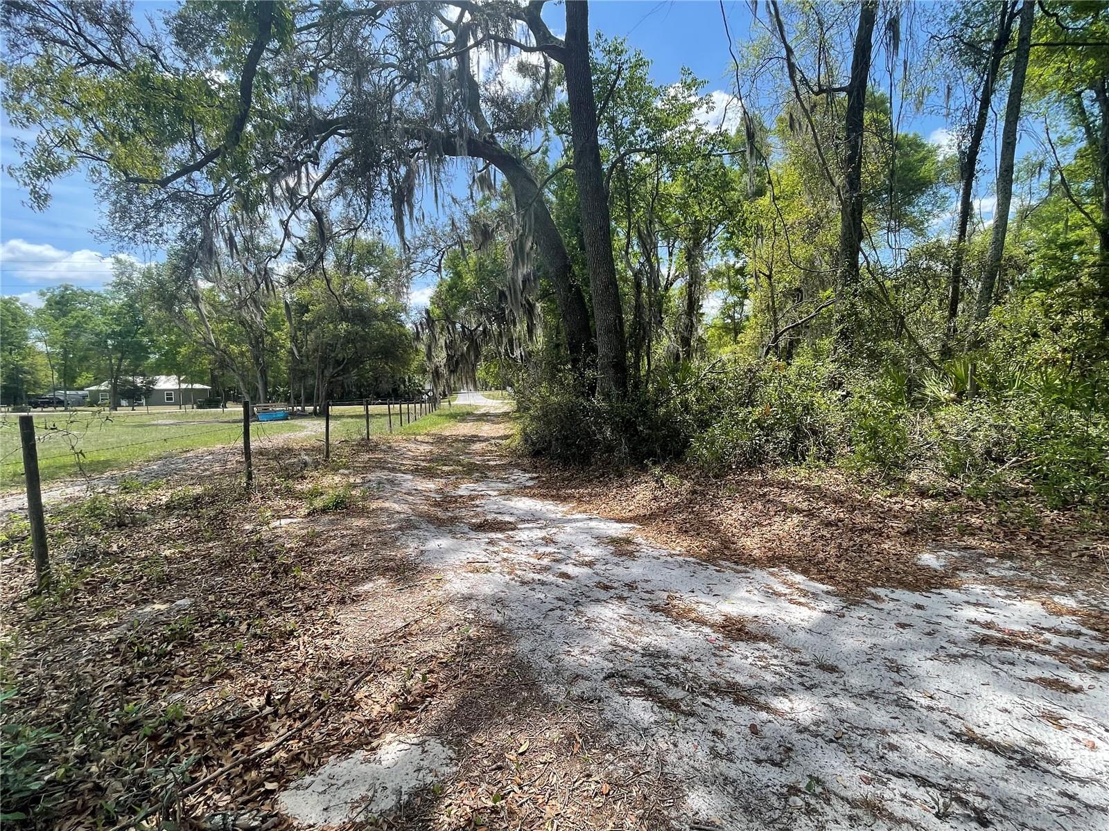 7157 NW 120TH ST, CHIEFLAND, FL, 32626