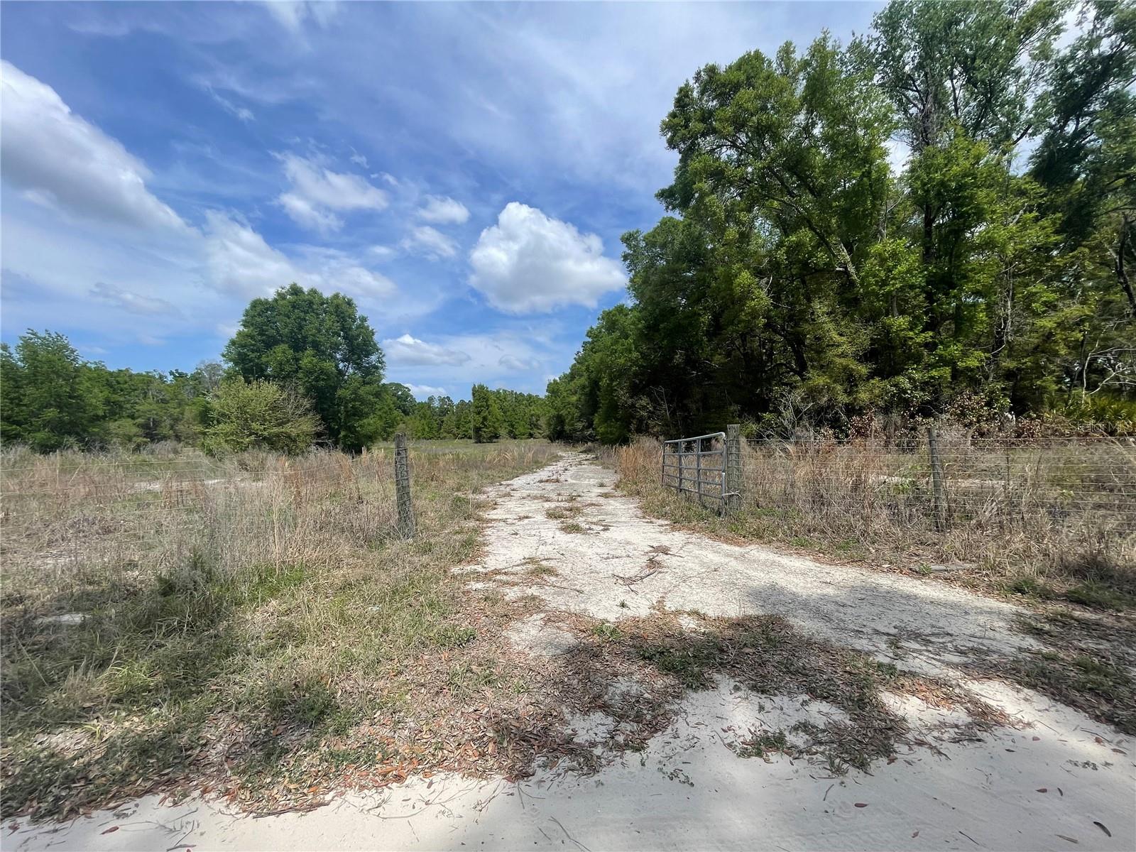 7157 NW 120TH ST, CHIEFLAND, FL, 32626