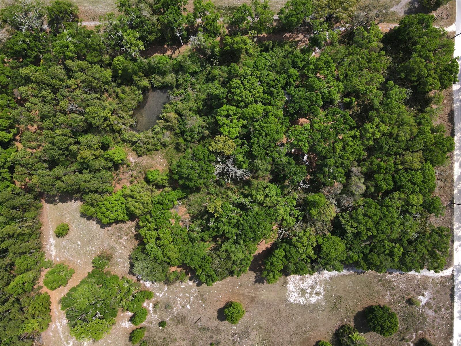 7157 NW 120TH ST, CHIEFLAND, FL, 32626