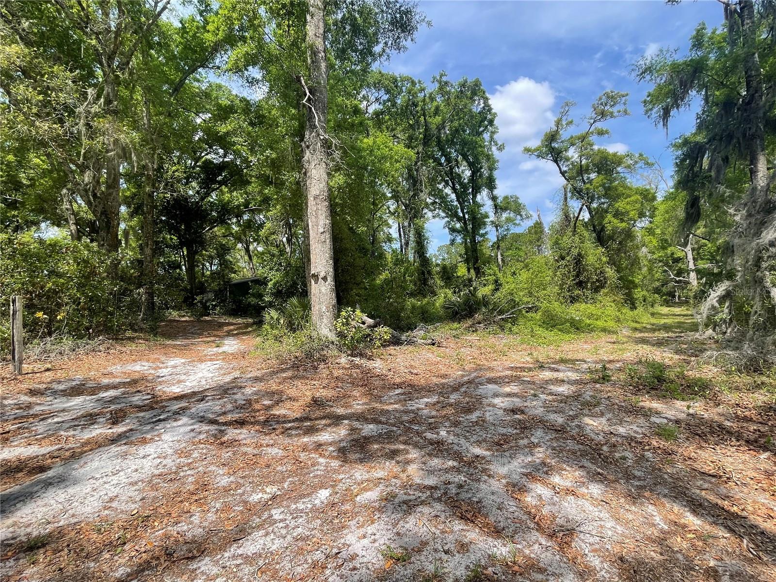 7157 NW 120TH ST, CHIEFLAND, FL, 32626