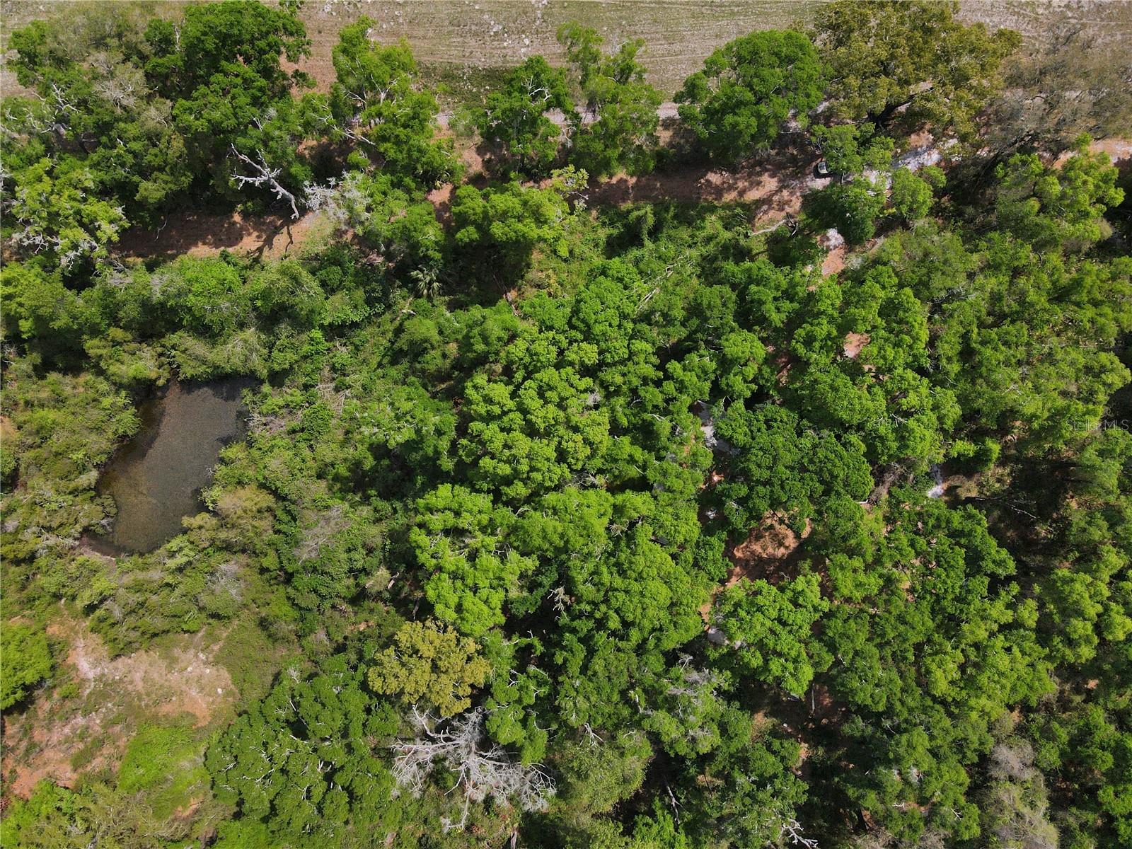 7157 NW 120TH ST, CHIEFLAND, FL, 32626
