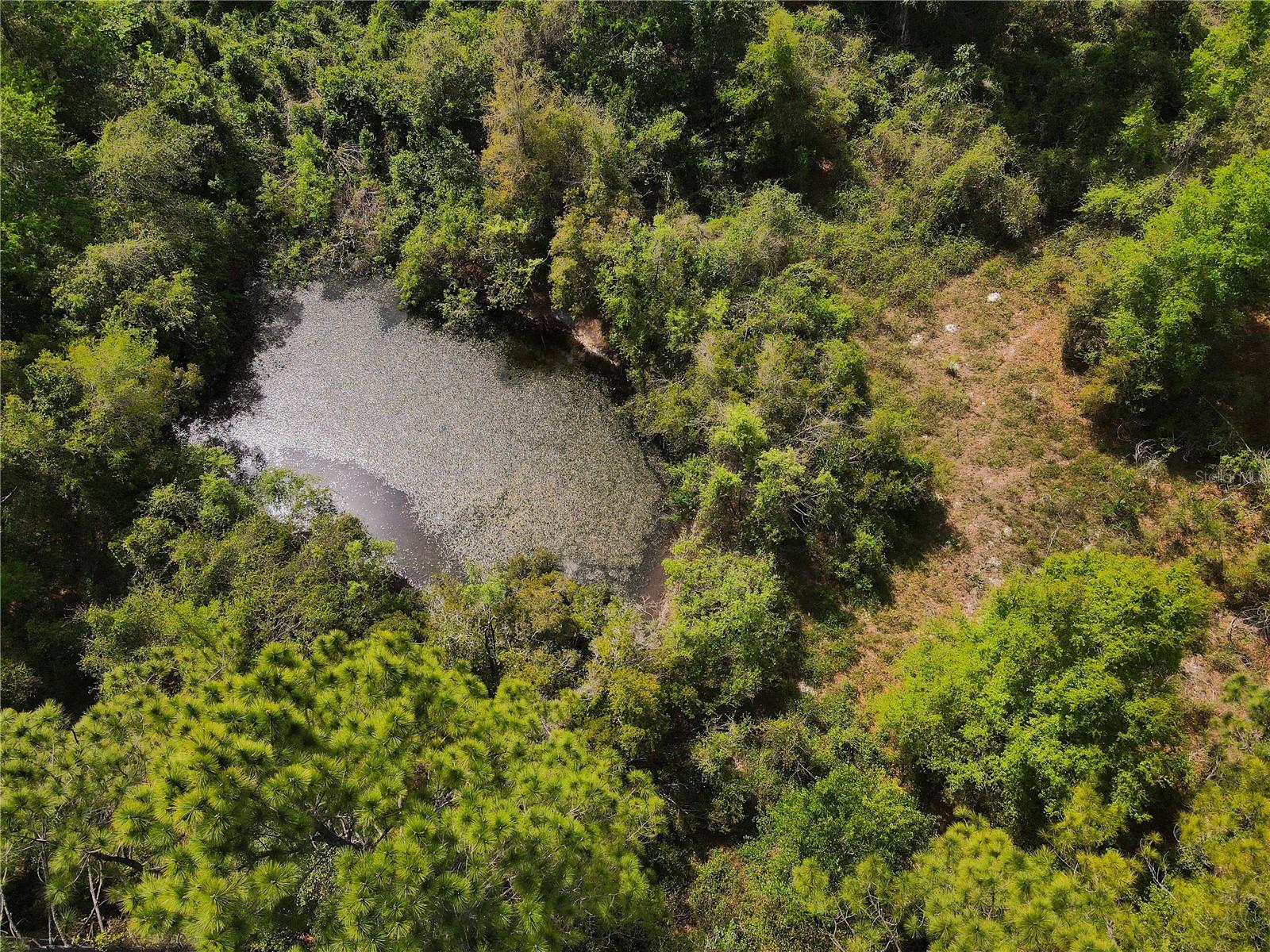 7157 NW 120TH ST, CHIEFLAND, FL, 32626