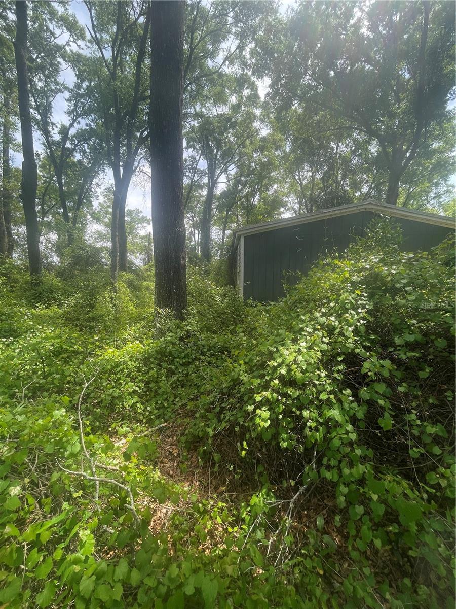 7157 NW 120TH ST, CHIEFLAND, FL, 32626