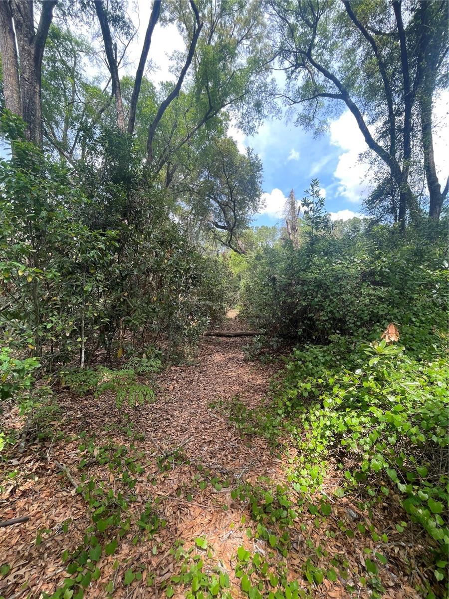 7157 NW 120TH ST, CHIEFLAND, FL, 32626