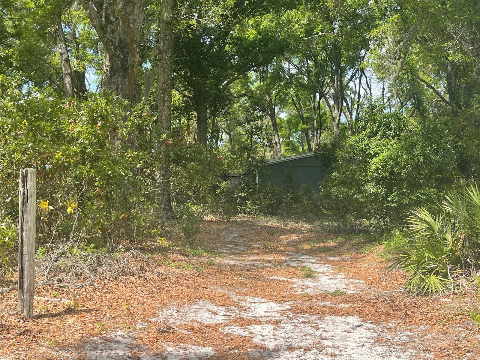 7157 NW 120TH ST, CHIEFLAND, FL, 32626