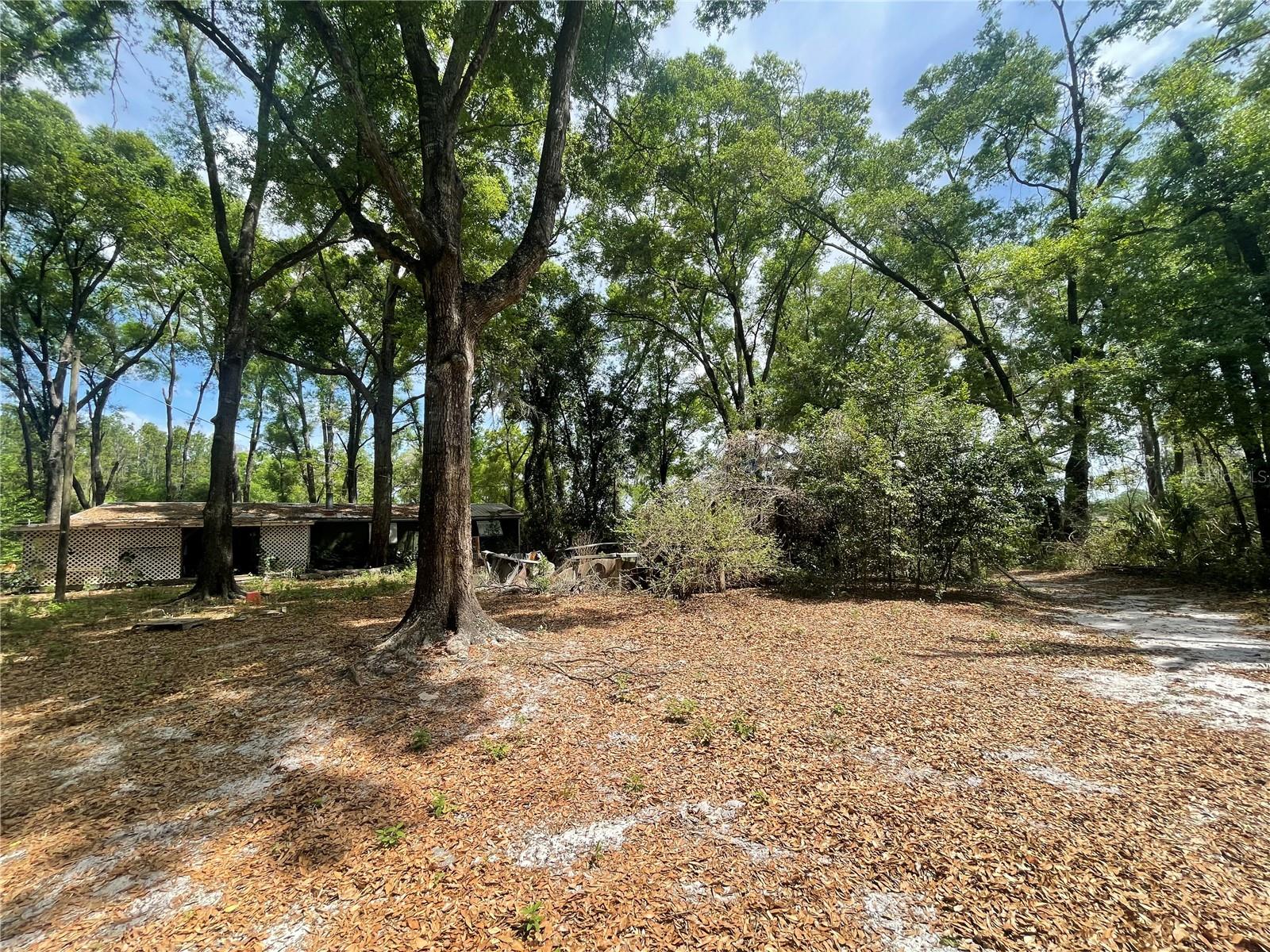 7157 NW 120TH ST, CHIEFLAND, FL, 32626