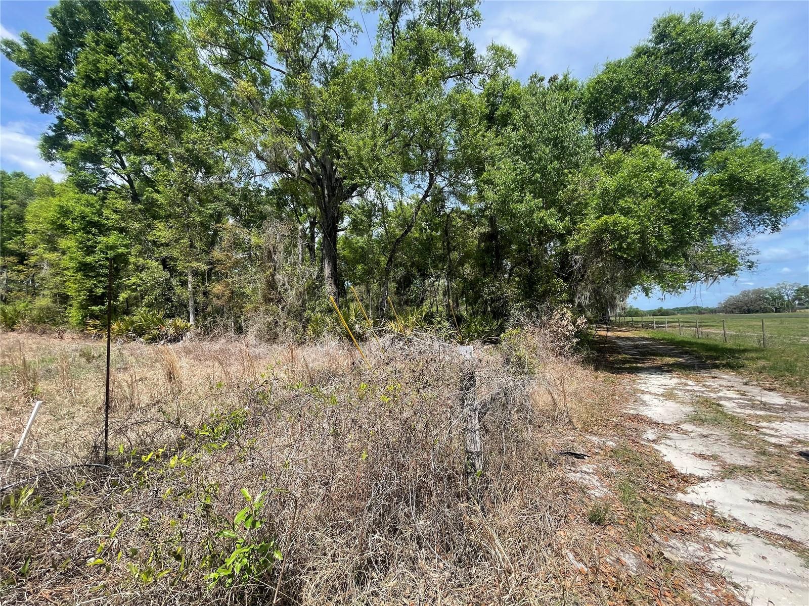 7157 NW 120TH ST, CHIEFLAND, FL, 32626