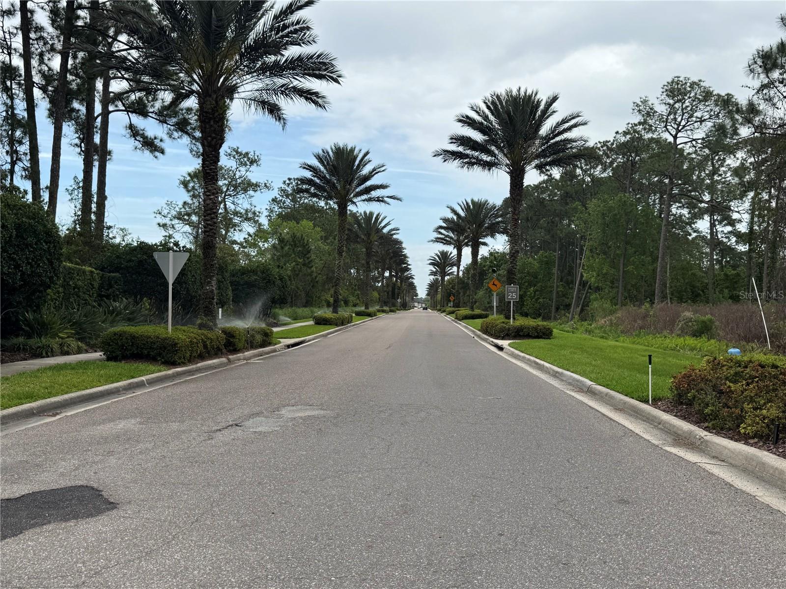 14501 GROVE RESORT AVE #1110, WINTER GARDEN, FL, 34787