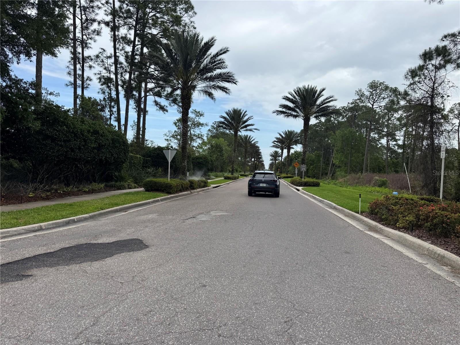 14501 GROVE RESORT AVE #1110, WINTER GARDEN, FL, 34787