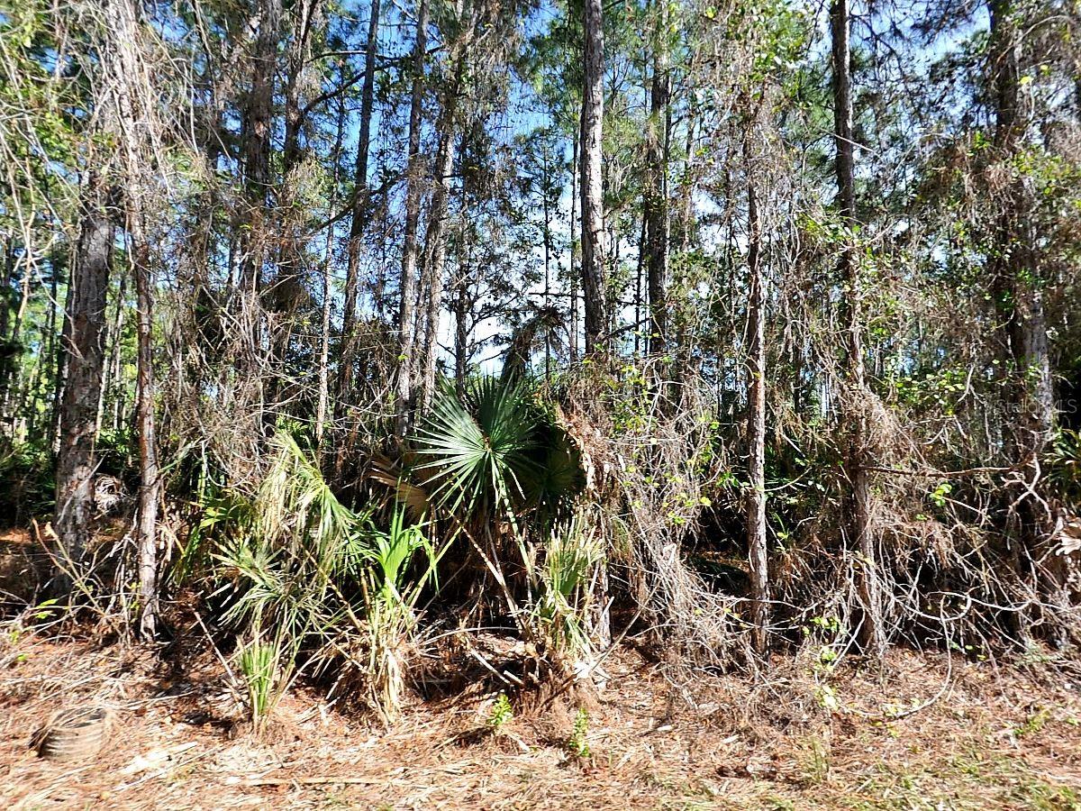 NAGENGAST ST, NORTH PORT, FL, 34288