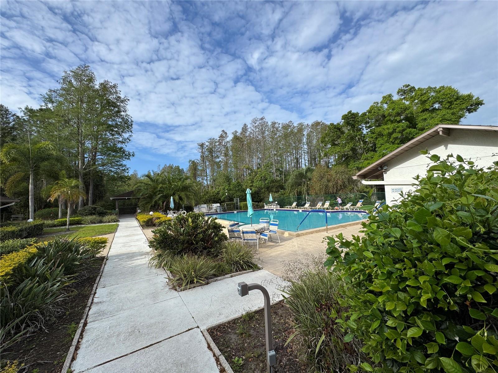 511 LONGFELLOW CT #B, SAFETY HARBOR, FL, 34695