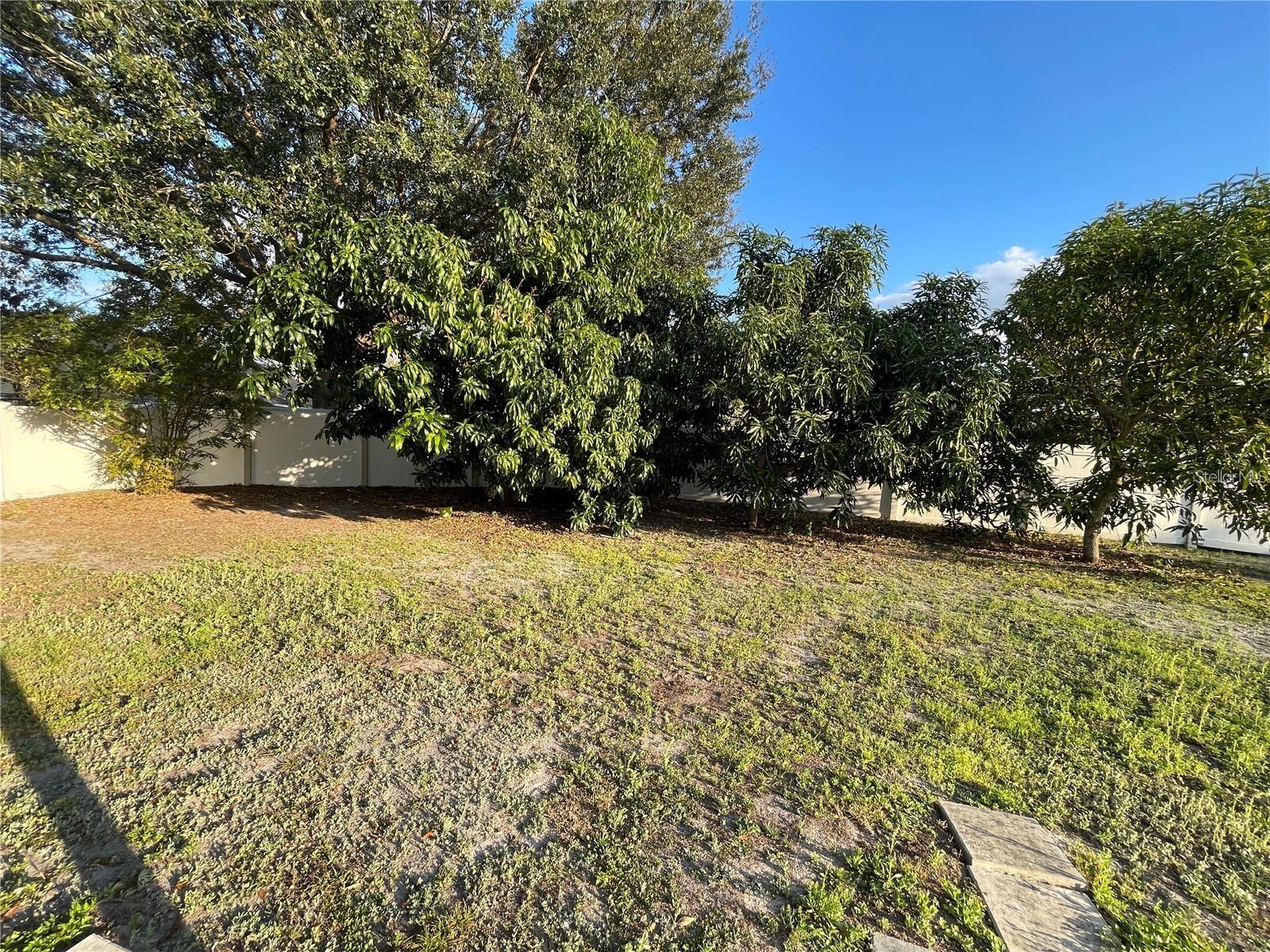8581 FORT THOMAS WAY, ORLANDO, FL, 32822