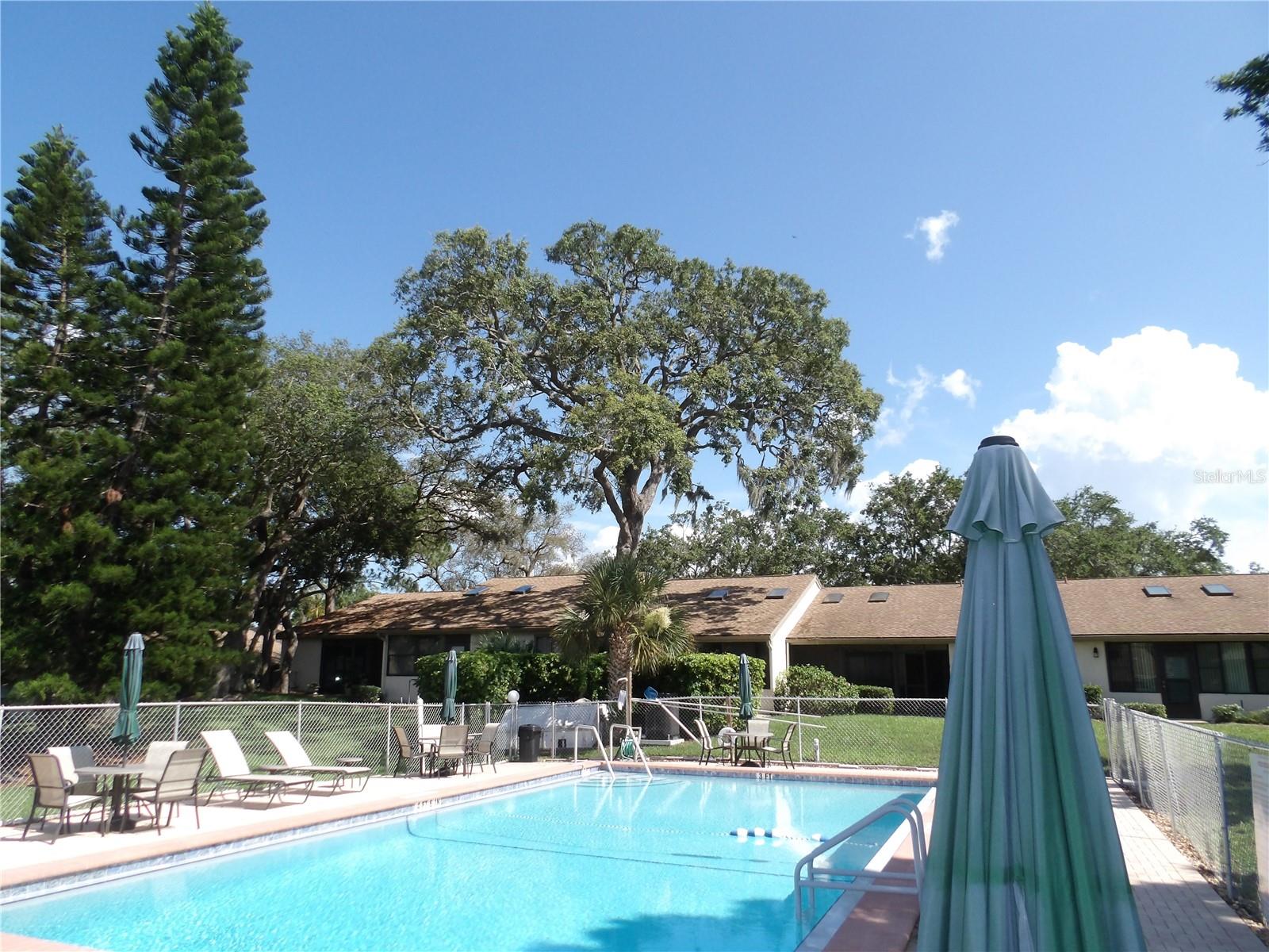 1250 S PINELLAS AVE #804, TARPON SPRINGS, FL, 34689