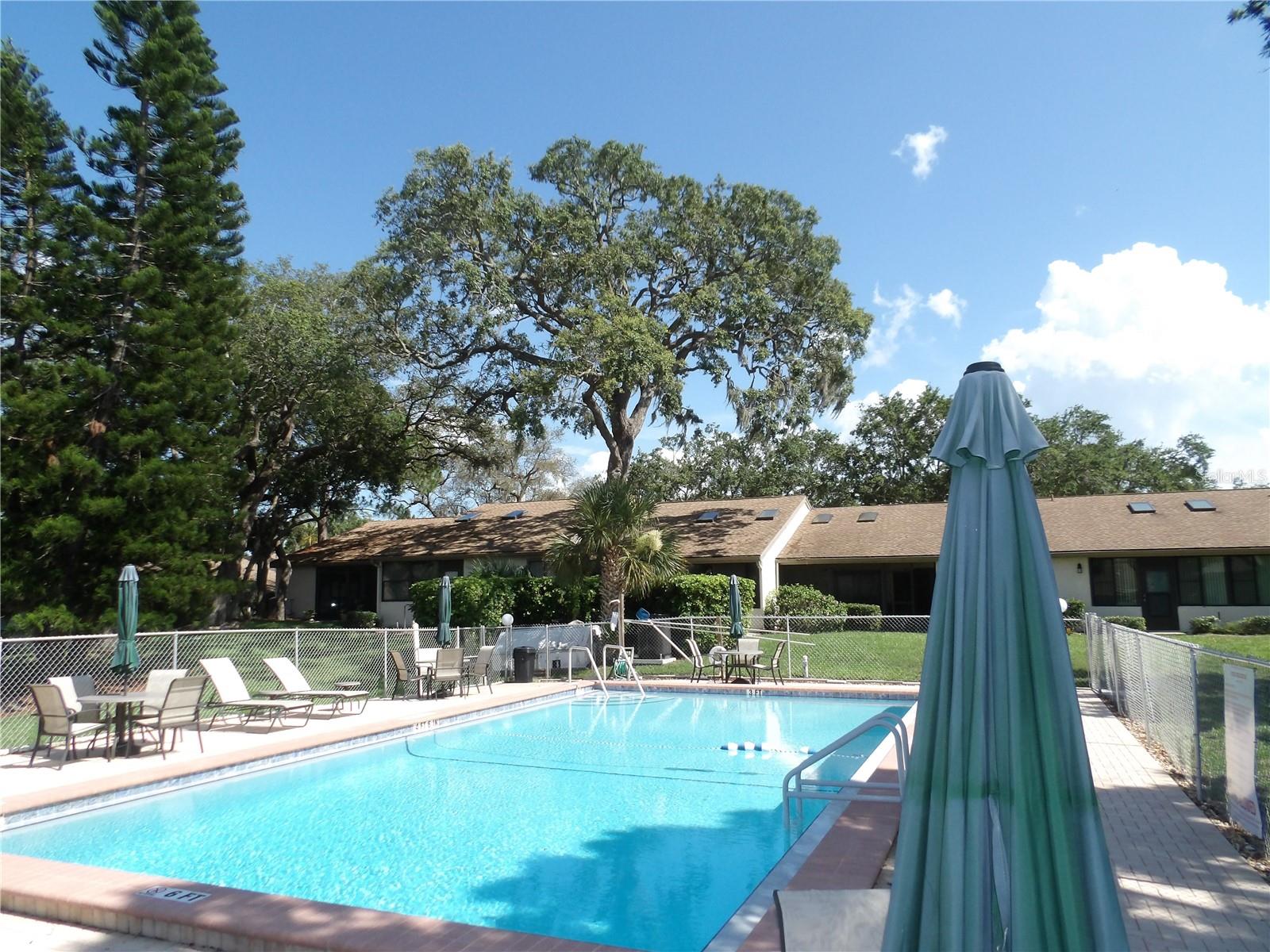 1250 S PINELLAS AVE #804, TARPON SPRINGS, FL, 34689