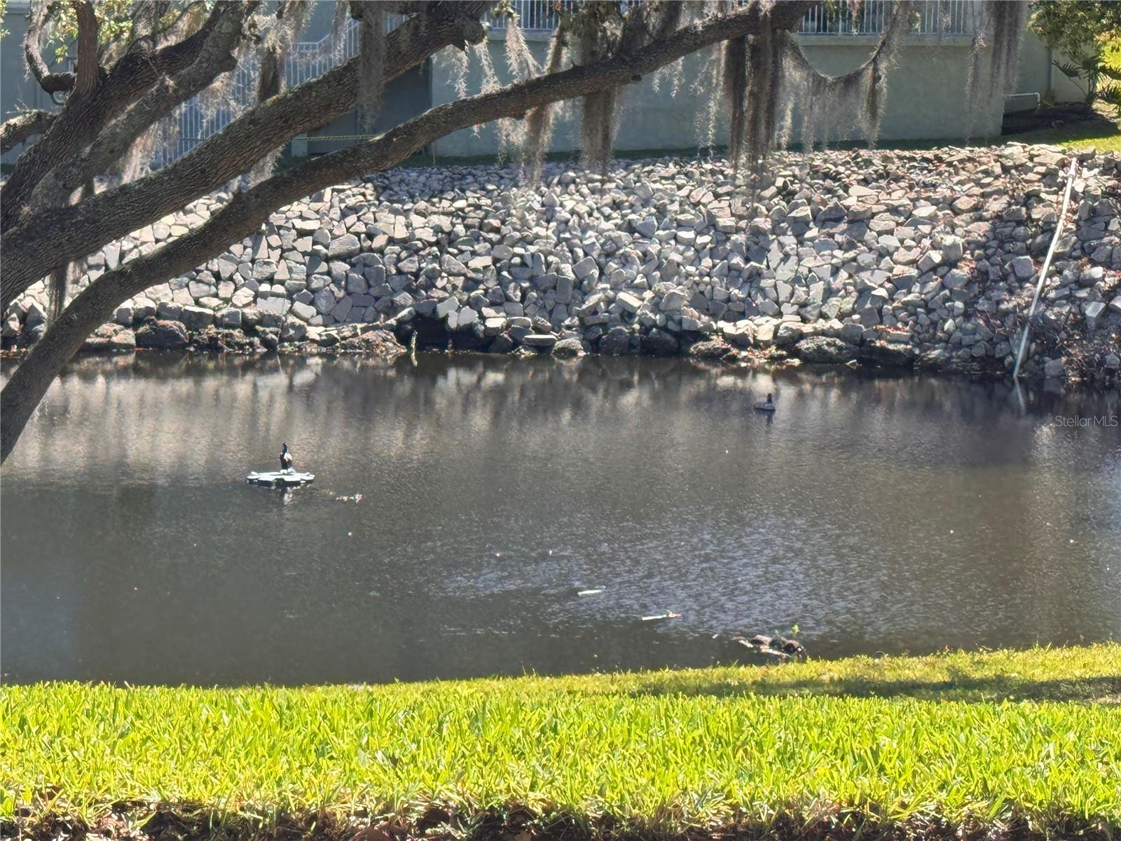 1250 S PINELLAS AVE #804, TARPON SPRINGS, FL, 34689