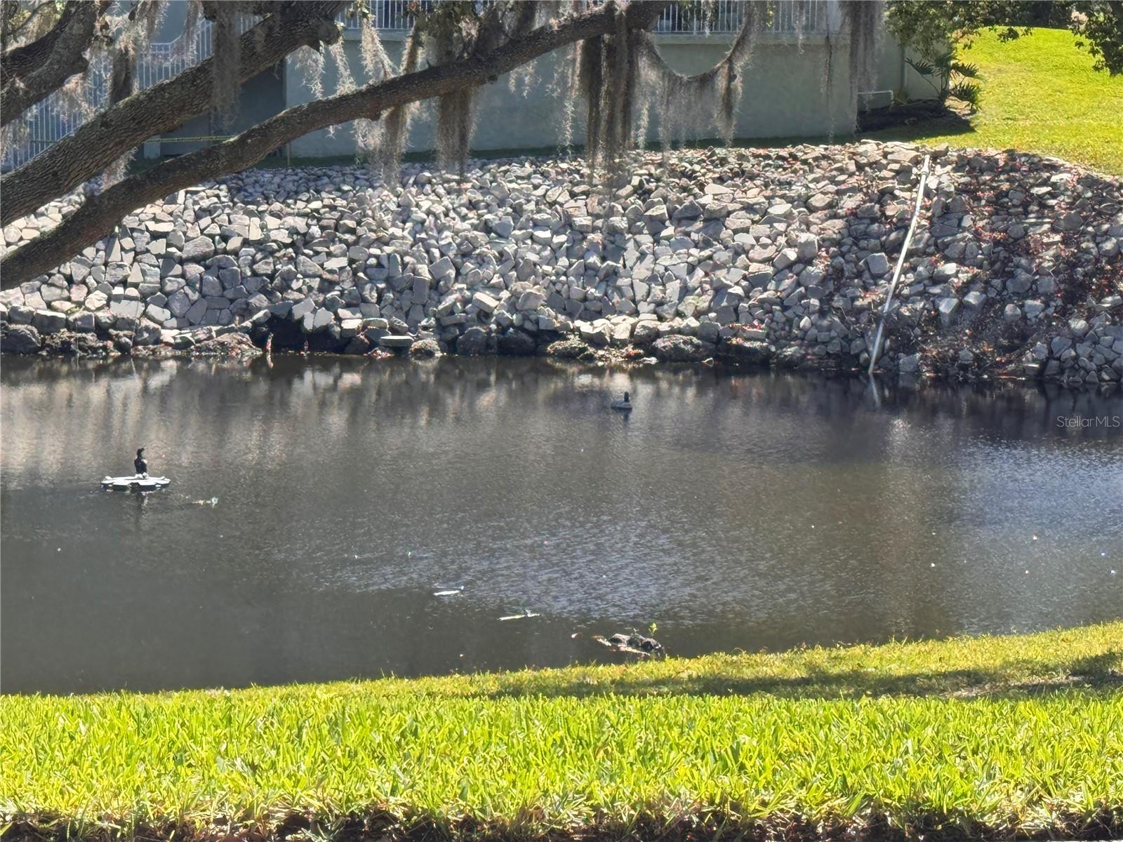 1250 S PINELLAS AVE #804, TARPON SPRINGS, FL, 34689