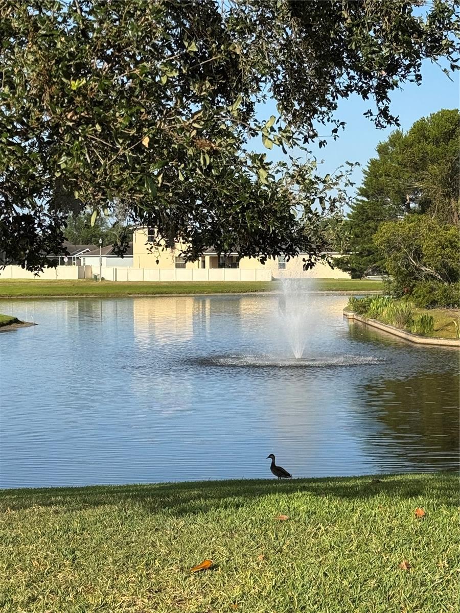 1365 EVERGREEN PARK CIR, LAKELAND, FL, 33813