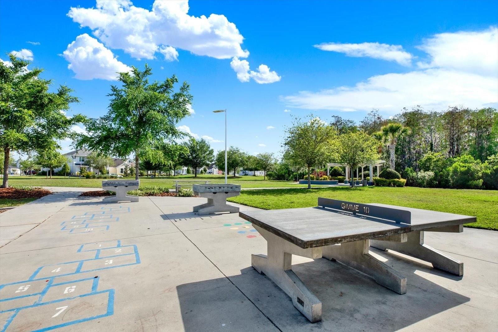 16930 STORYLINE DR, LAND O LAKES, FL, 34638