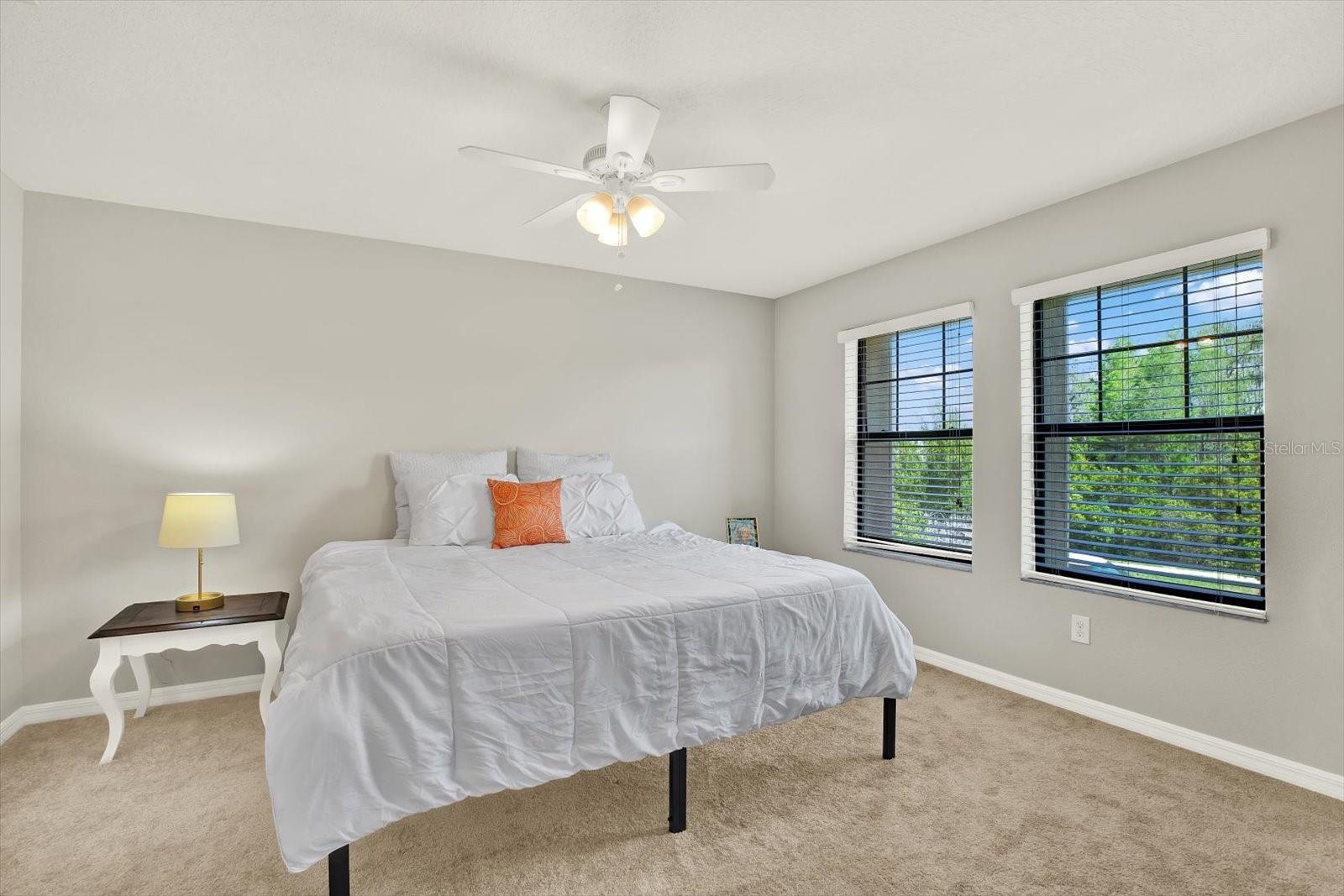 16930 STORYLINE DR, LAND O LAKES, FL, 34638