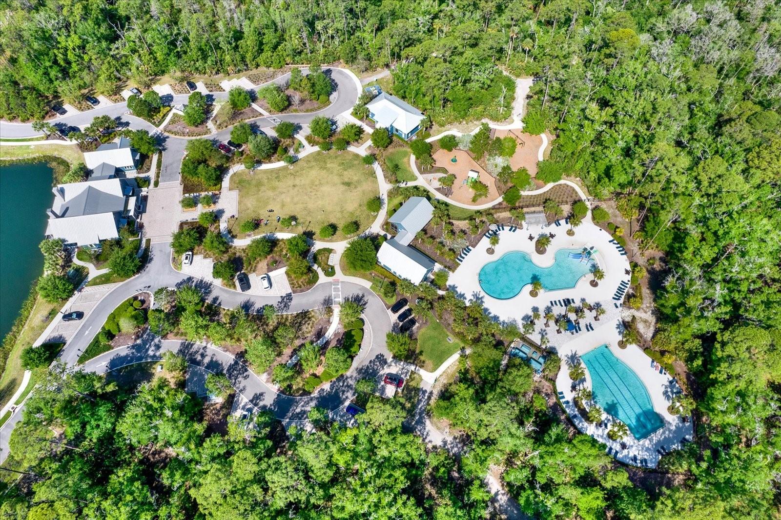 16930 STORYLINE DR, LAND O LAKES, FL, 34638
