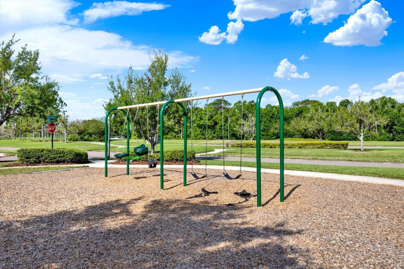 16930 STORYLINE DR, LAND O LAKES, FL, 34638