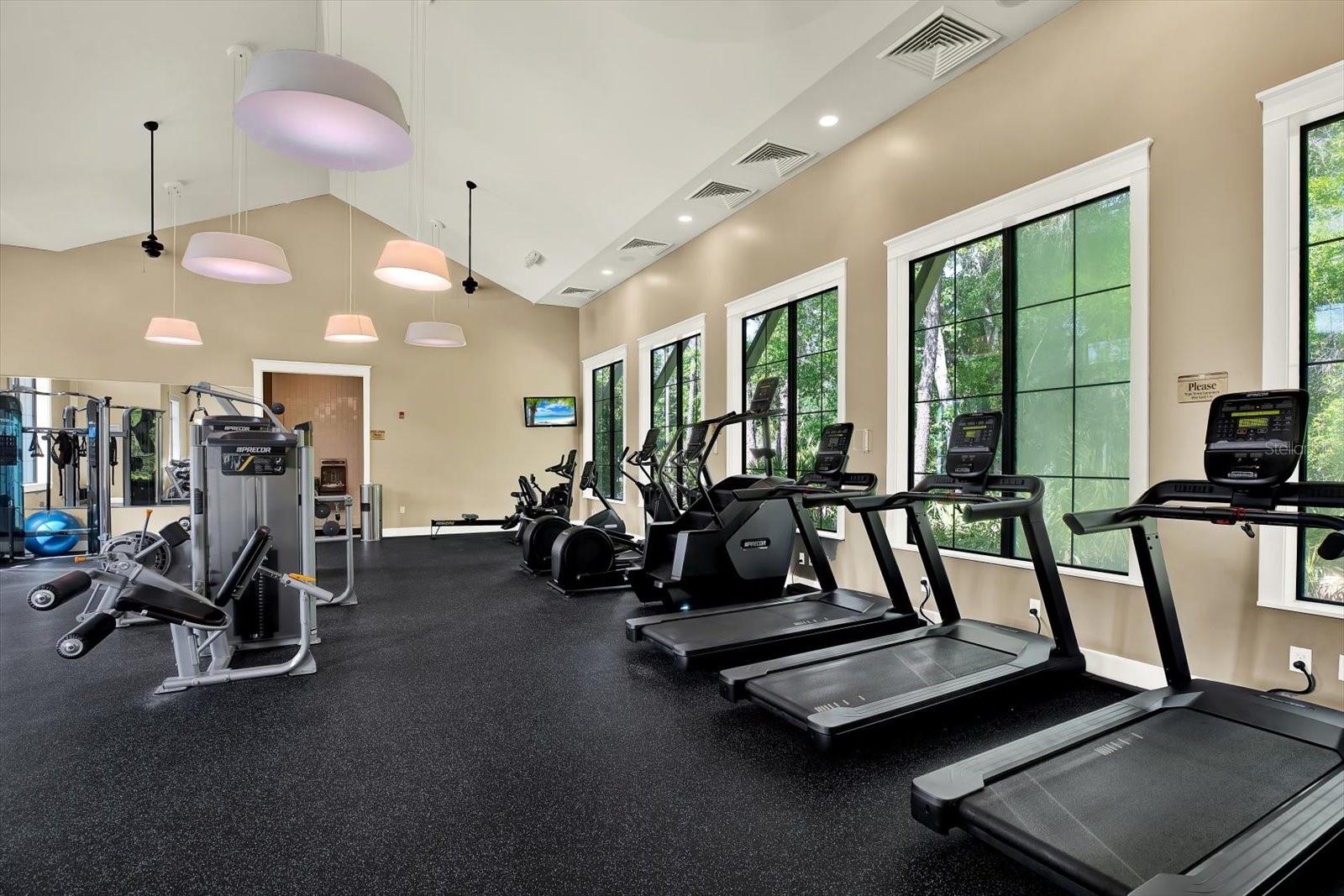 16930 STORYLINE DR, LAND O LAKES, FL, 34638