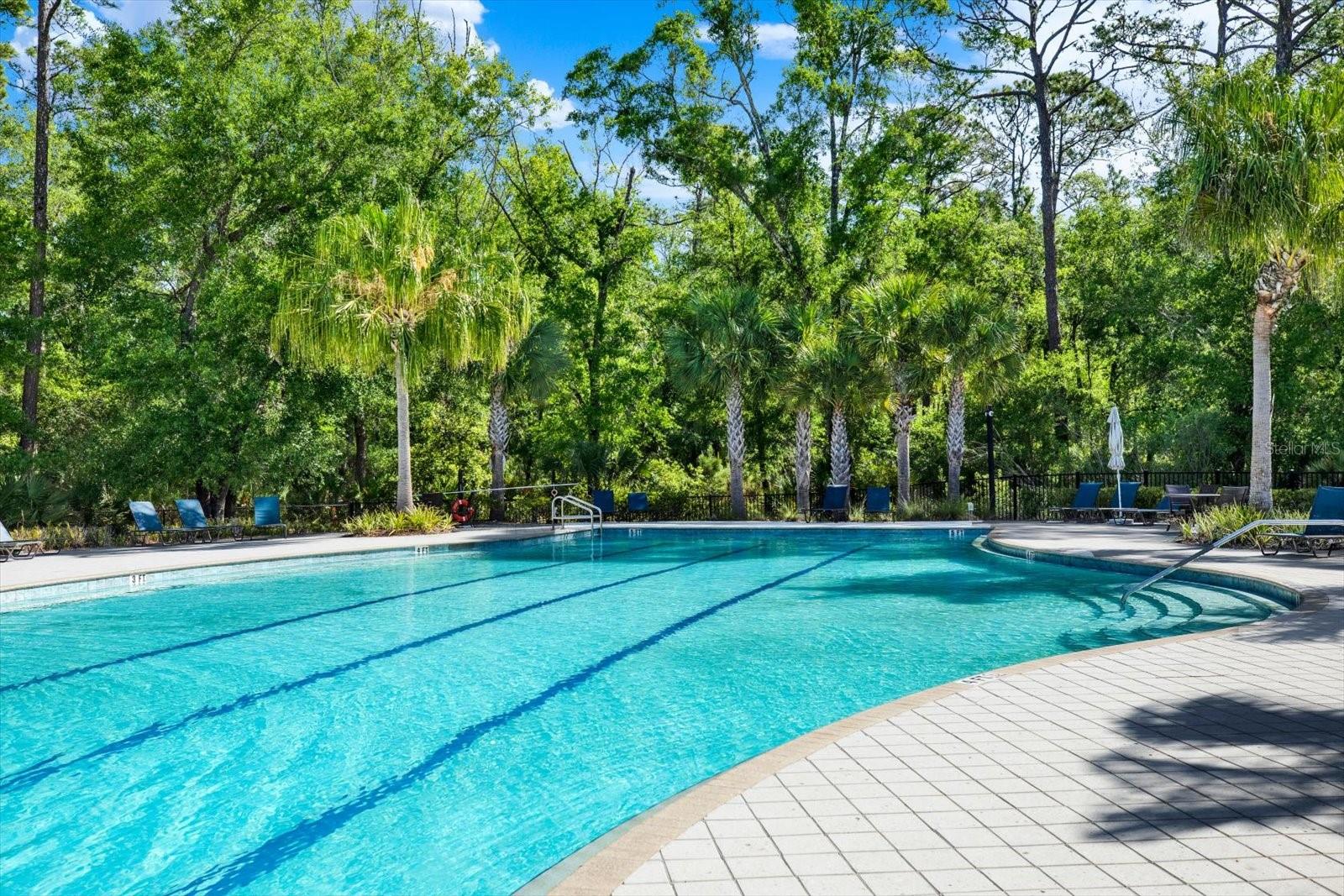 16930 STORYLINE DR, LAND O LAKES, FL, 34638