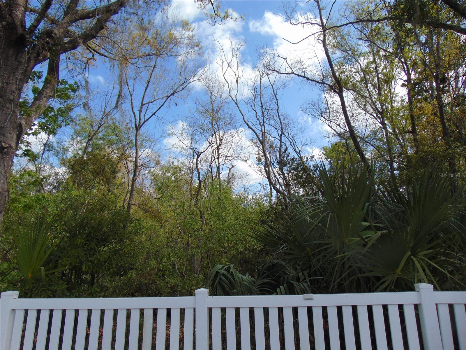 4706 TAMPA DOWNS BLVD, LUTZ, FL, 33559