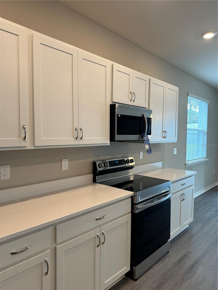 1008 ARUBA AVE, MULBERRY, FL, 33860