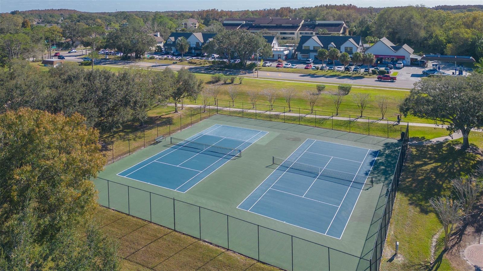 4303 MIDDLE LAKE DR, TAMPA, FL, 33624