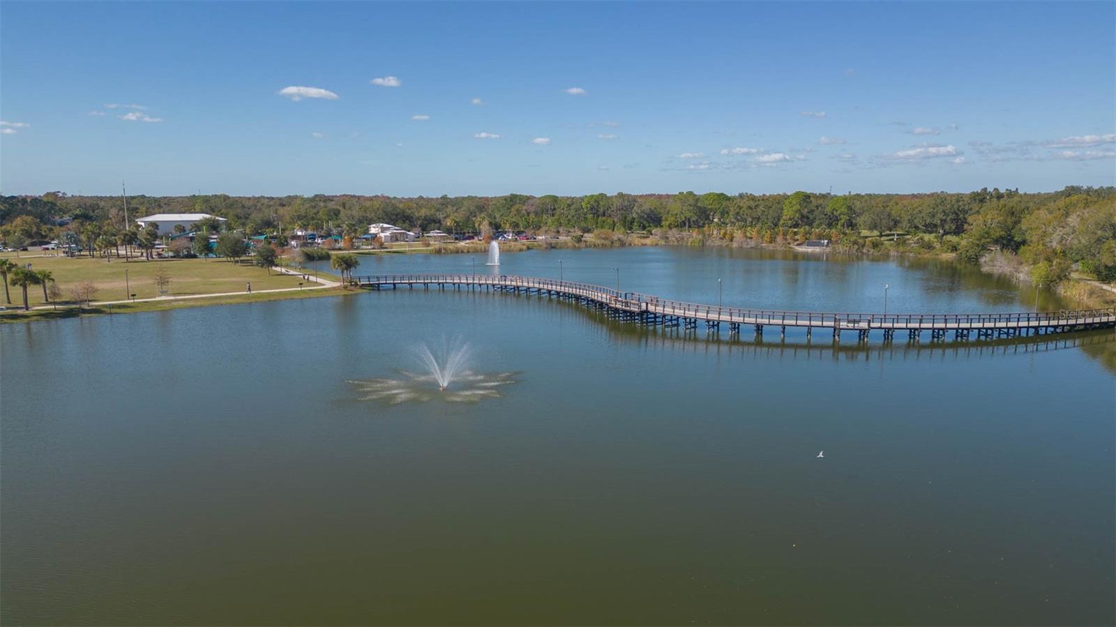 4303 MIDDLE LAKE DR, TAMPA, FL, 33624