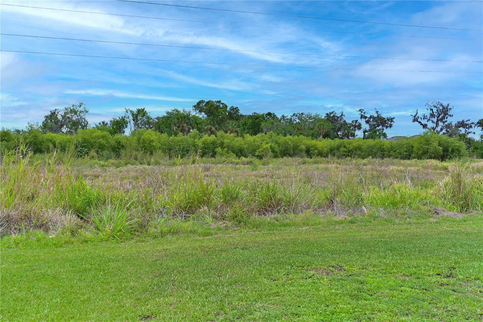 4919 WEDGELEAF WAY, PALMETTO, FL, 34221