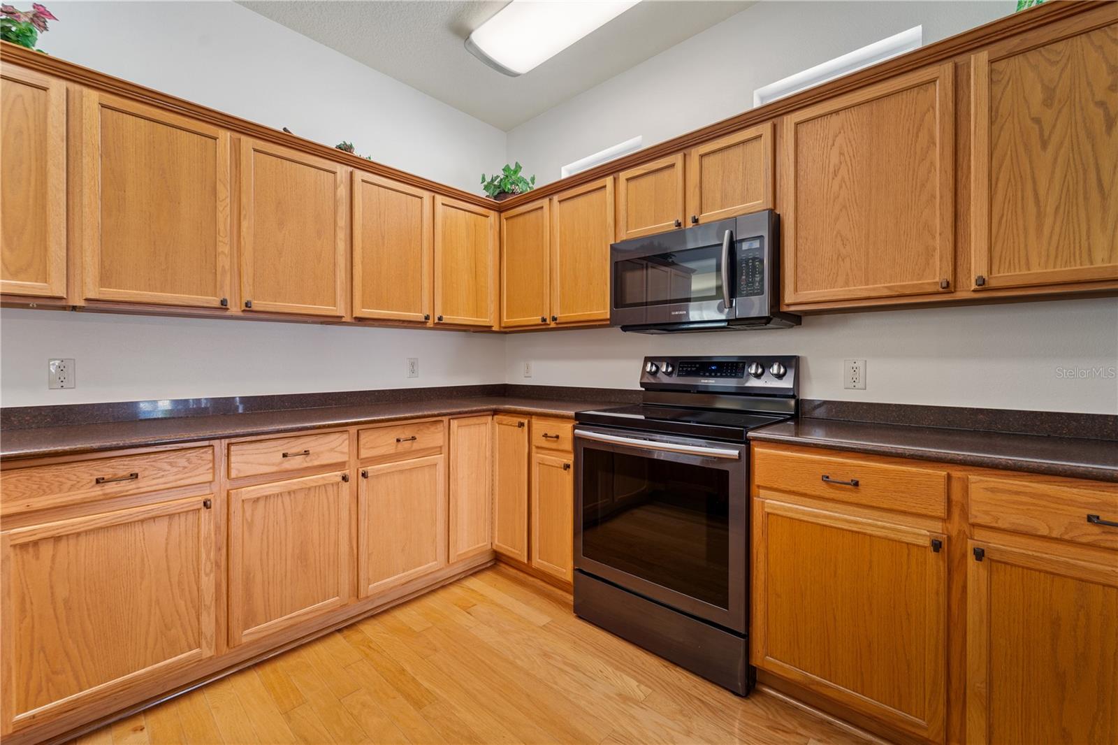 20941 TANGOR RD, LAND O LAKES, FL, 34637