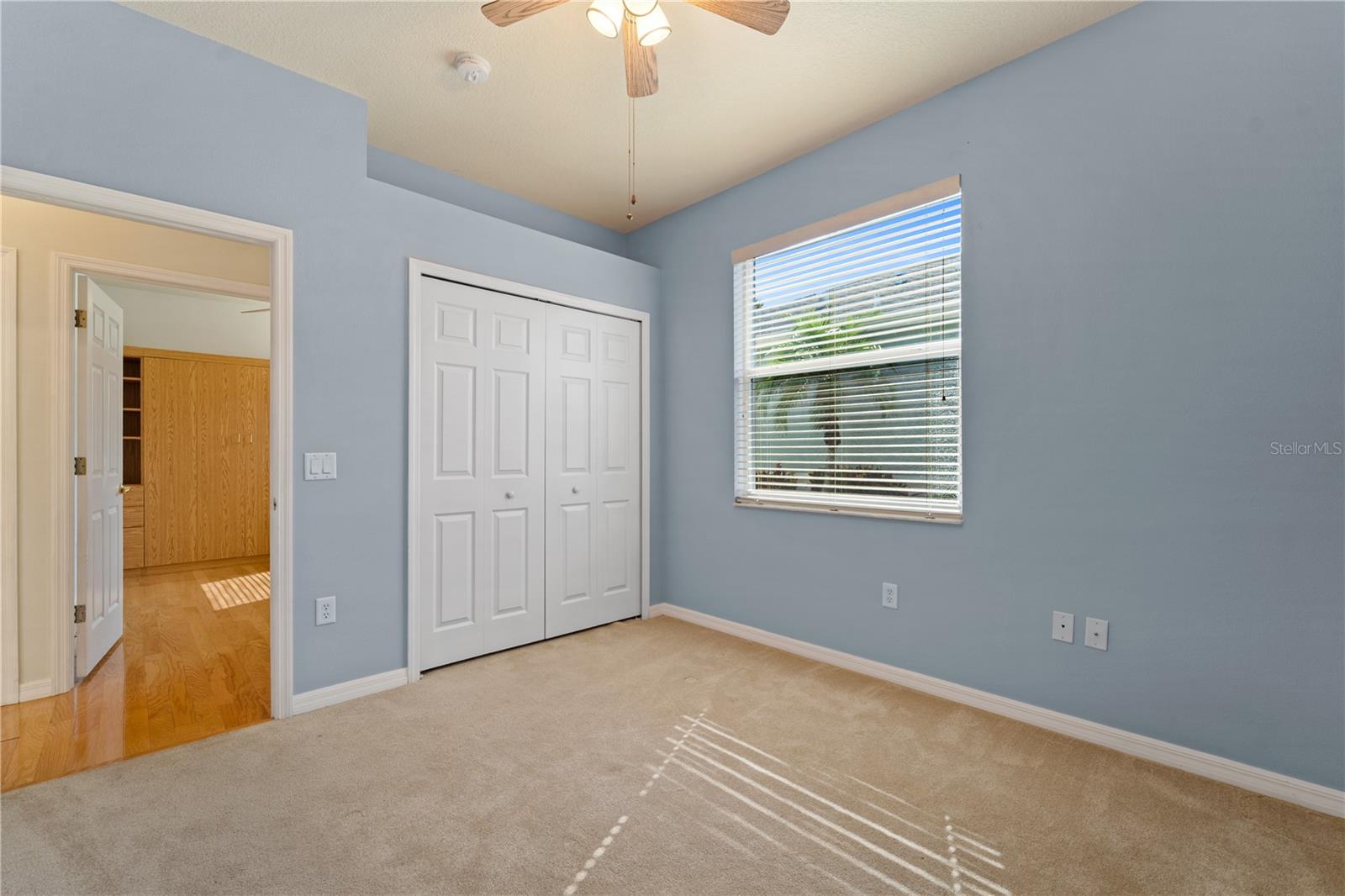 20941 TANGOR RD, LAND O LAKES, FL, 34637