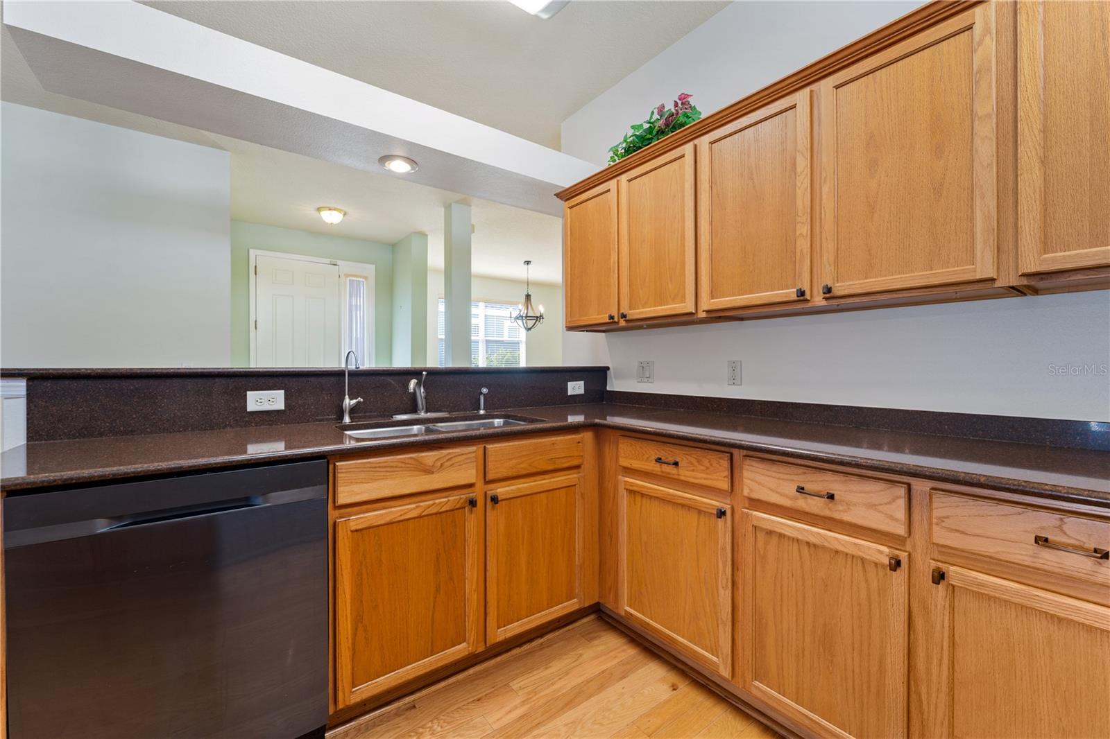 20941 TANGOR RD, LAND O LAKES, FL, 34637