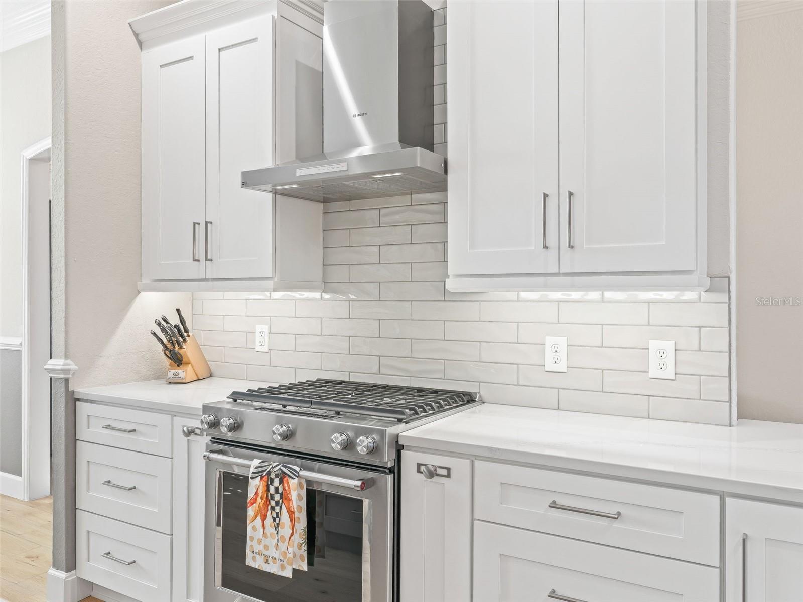 1477 BLEASE LOOP, THE VILLAGES, FL, 32162