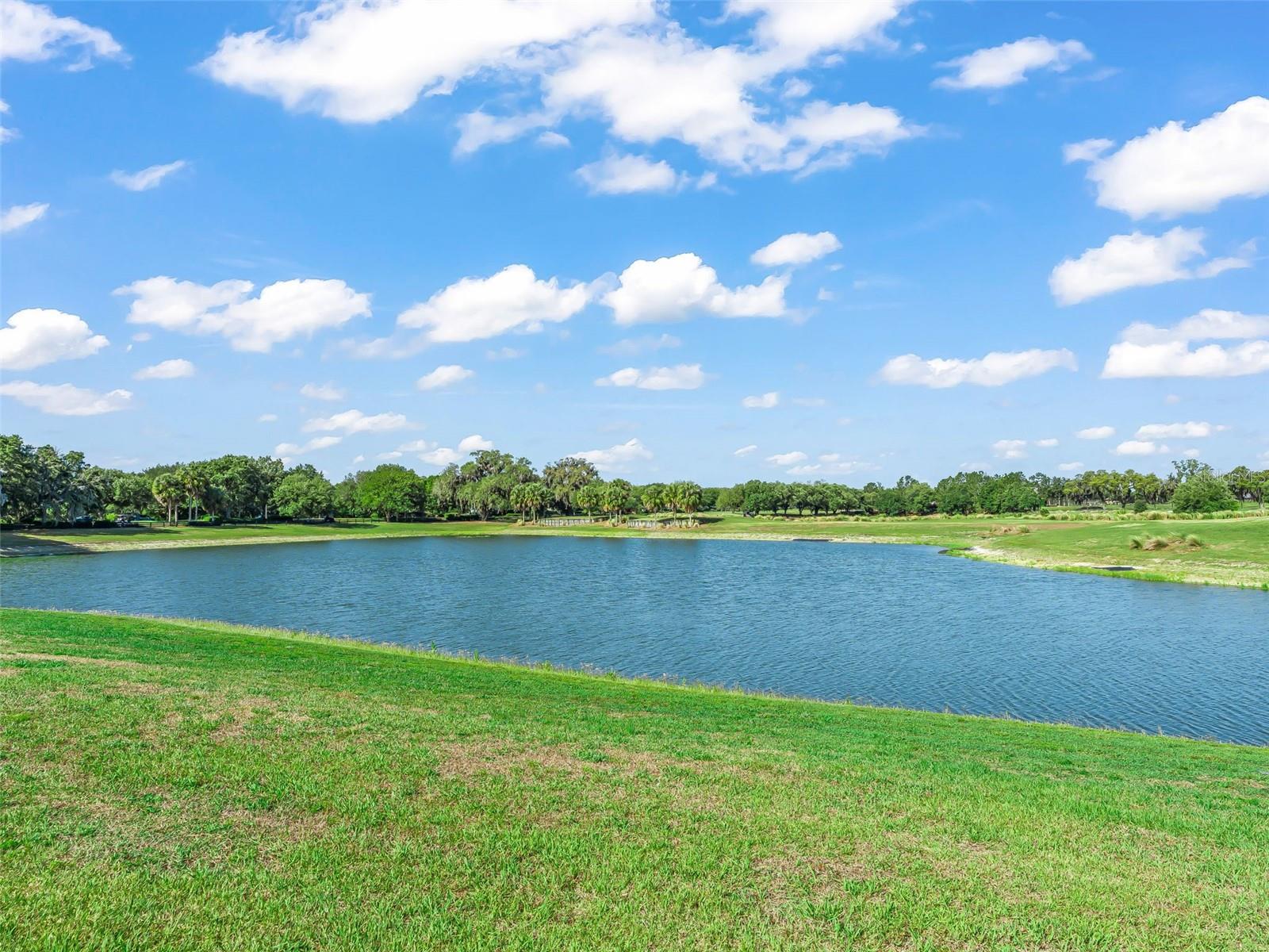 1477 BLEASE LOOP, THE VILLAGES, FL, 32162