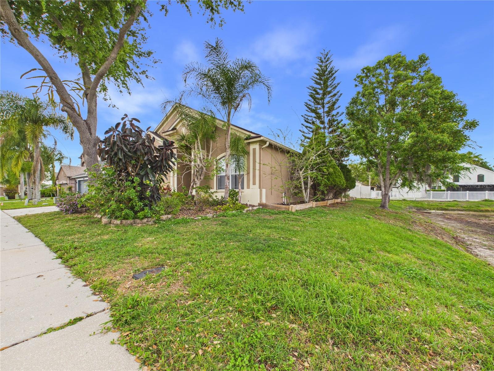 17353 LAWN ORCHID LOOP, LAND O LAKES, FL, 34638