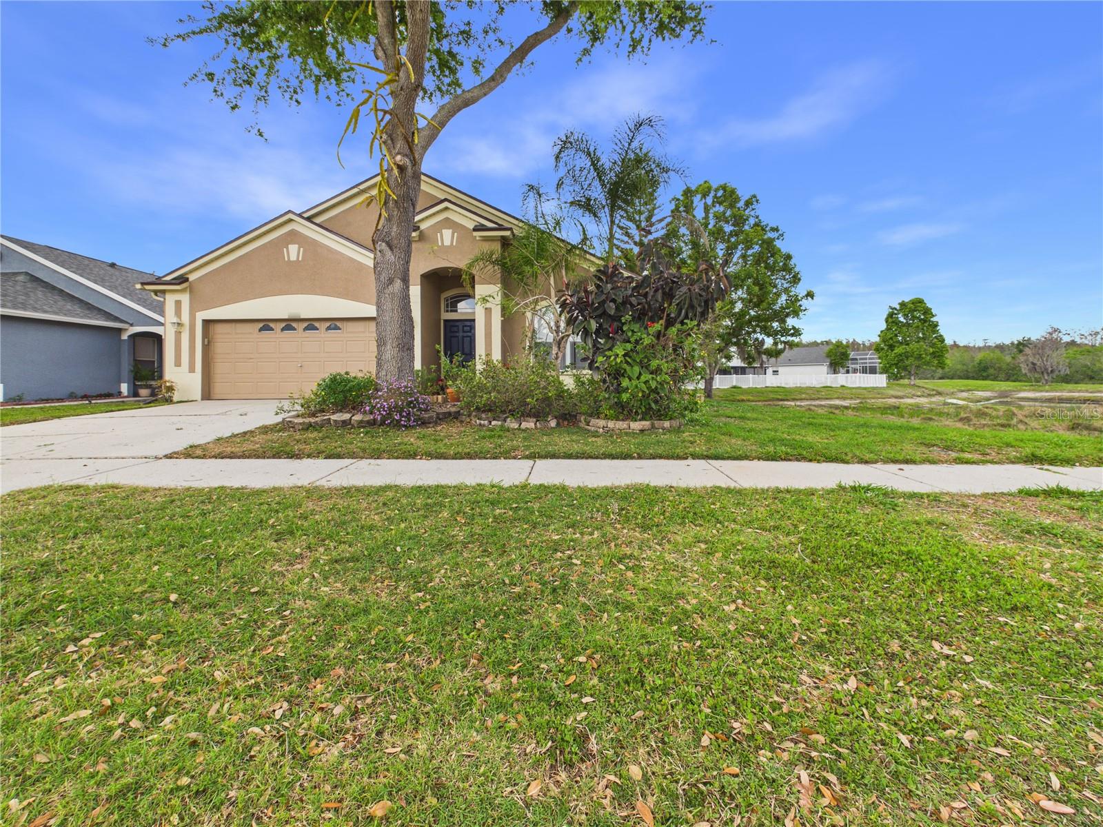 17353 LAWN ORCHID LOOP, LAND O LAKES, FL, 34638