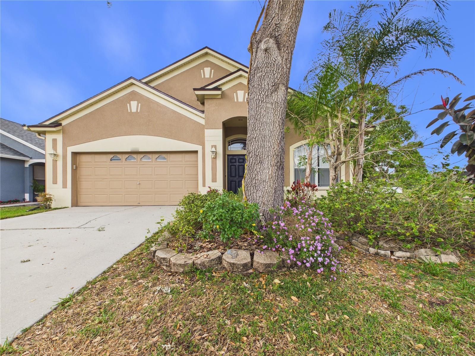 17353 LAWN ORCHID LOOP, LAND O LAKES, FL, 34638