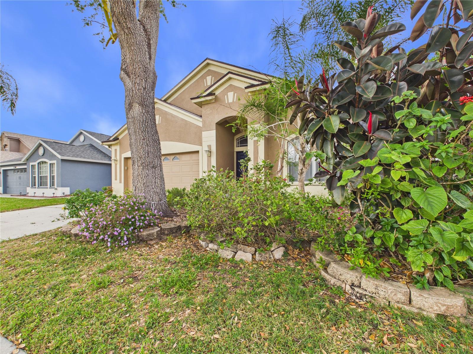 17353 LAWN ORCHID LOOP, LAND O LAKES, FL, 34638
