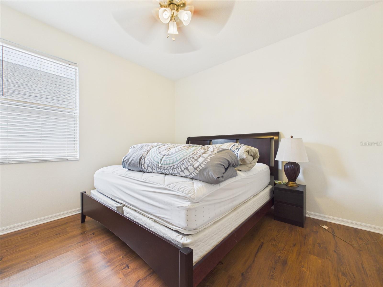 17353 LAWN ORCHID LOOP, LAND O LAKES, FL, 34638