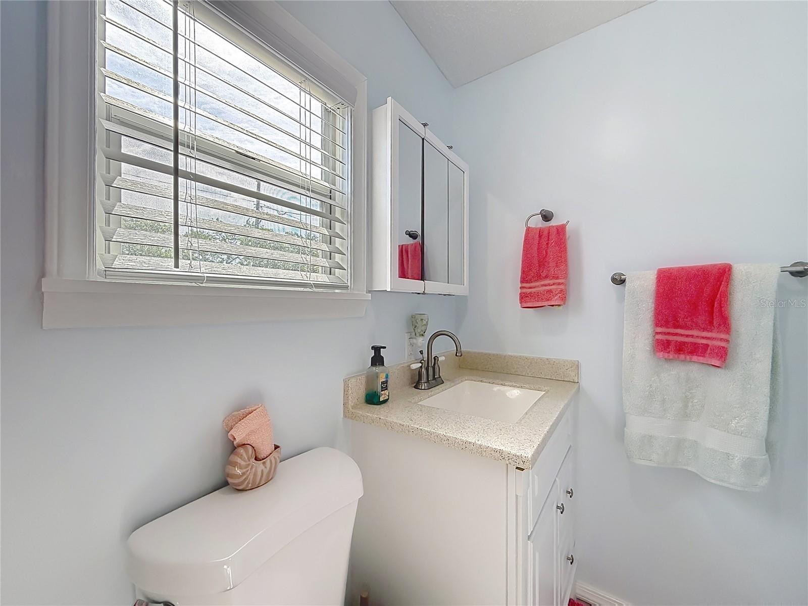 111 MARK AVE, LADY LAKE, FL, 32159