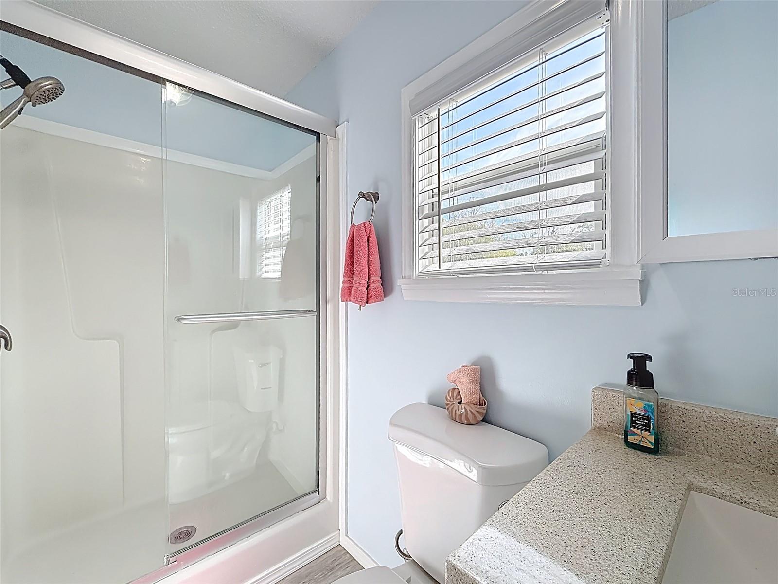 111 MARK AVE, LADY LAKE, FL, 32159