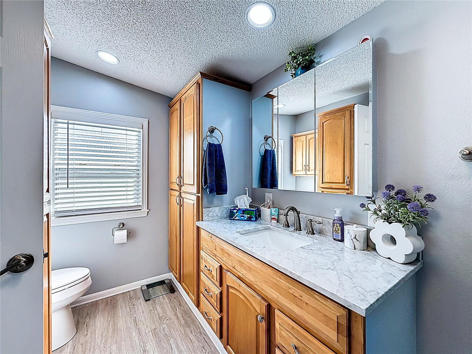 111 MARK AVE, LADY LAKE, FL, 32159