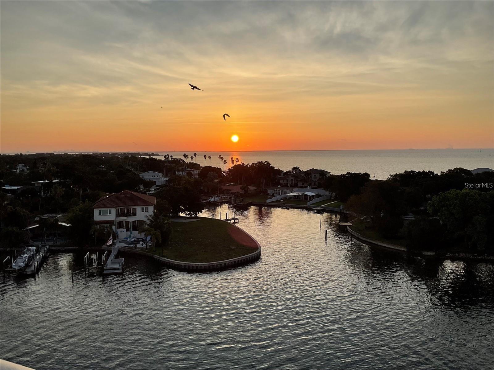 1365 SNELL ISLE BLVD NE #8D, ST PETERSBURG, FL, 33704